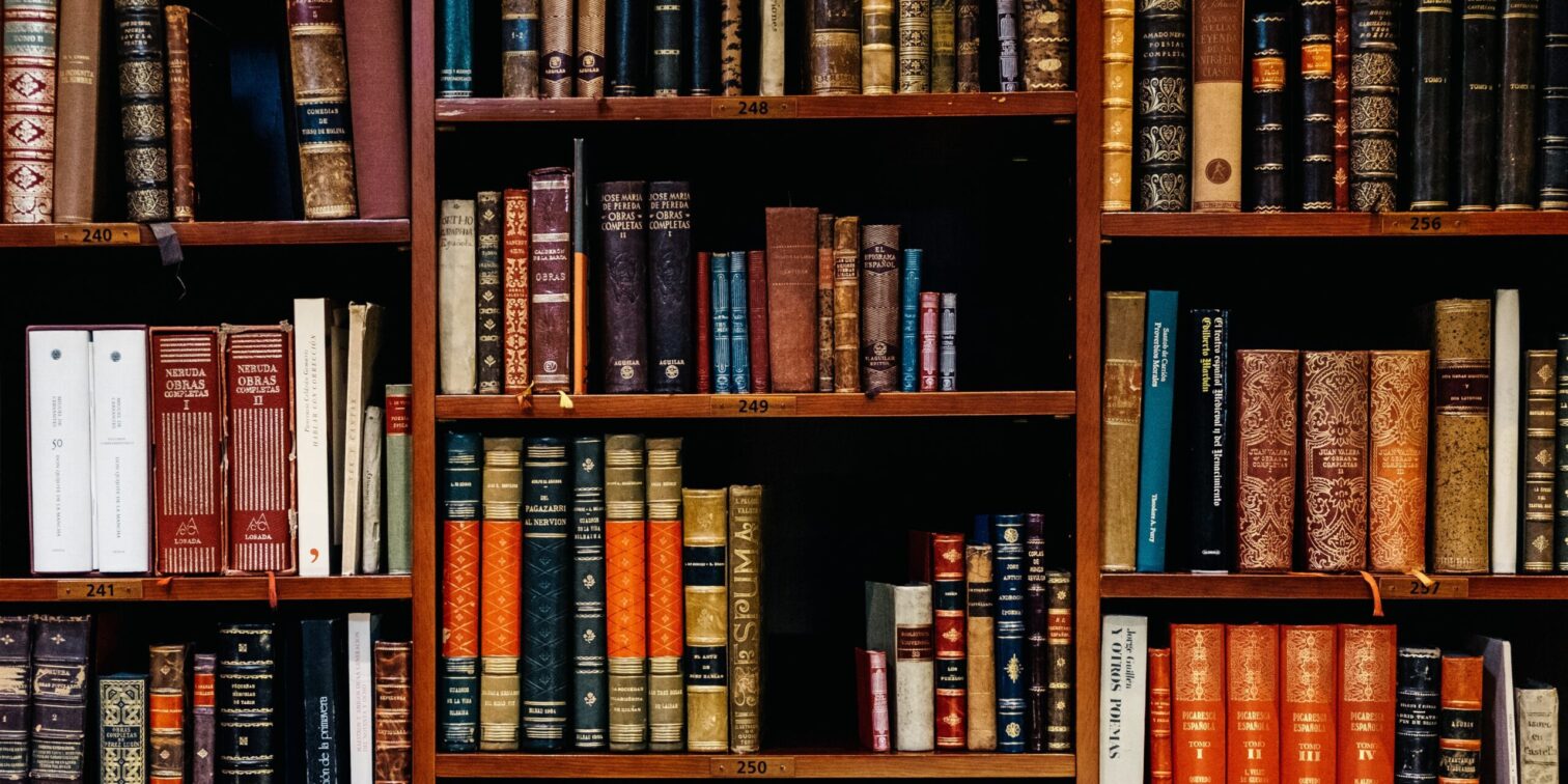 Bookshelf with many books