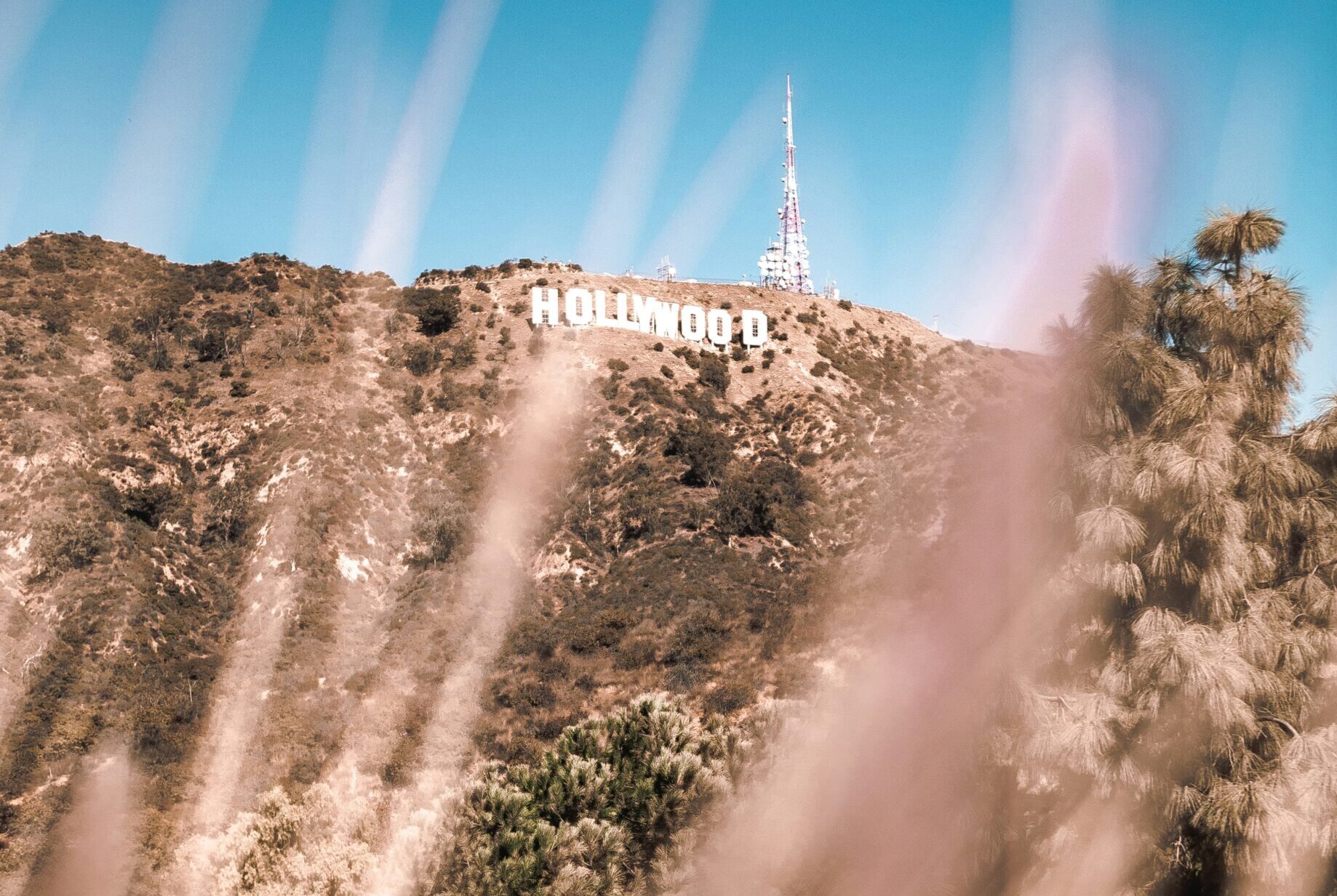 celebrity personal injury lawsuit